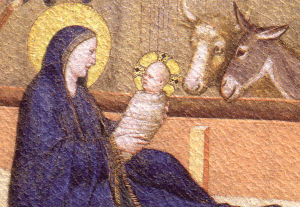 Presepe-di-Giotto1